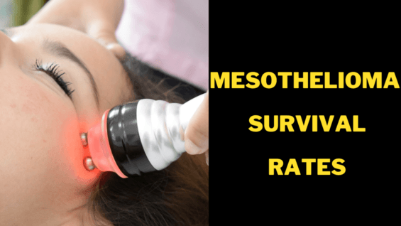 mesothelioma survival rates
