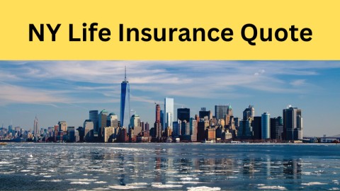 ny life insurance quote
